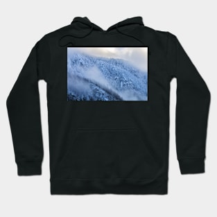 Pacific Northwest Winter Hoodie